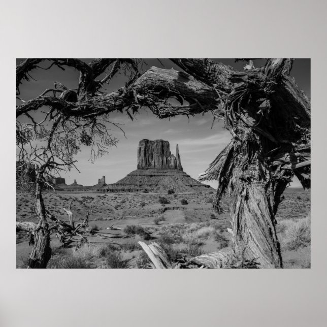 Monument Valley Black and White Poster (Framsidan)