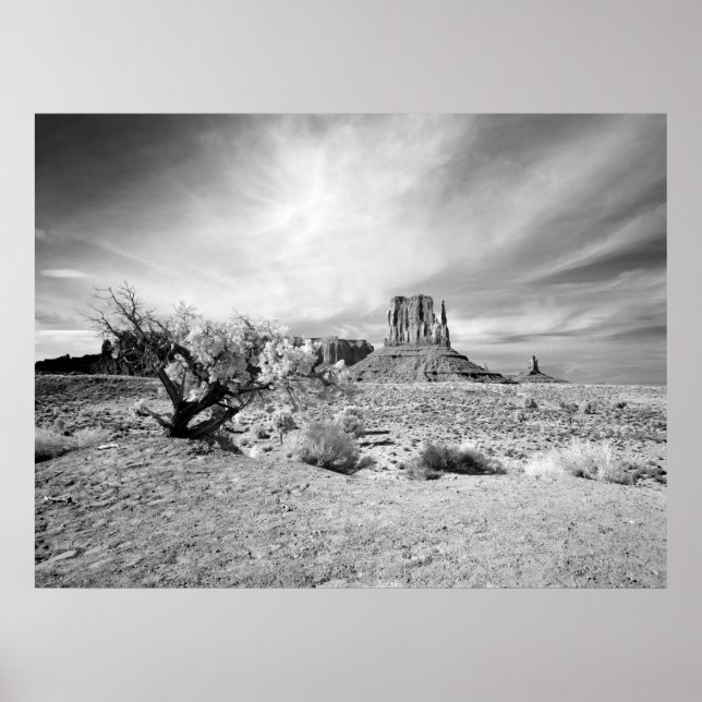 Monument Valley Poster (Framsidan)