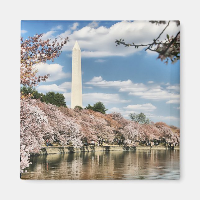 Monument | Washington Memorial Magnet (Framsidan)