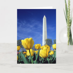 Monument   Washington Monument i Vår Kort