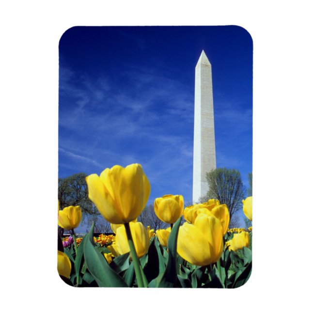 Monument | Washington Monument i Vår Magnet (Vertikal)