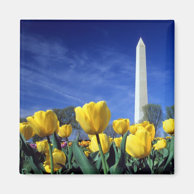 Monument | Washington Monument i Vår Magnet (Framsidan)