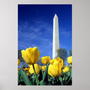Monument   Washington Monument i Vår Poster