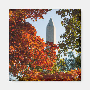 Monument Washington Monument på hösten Magnet