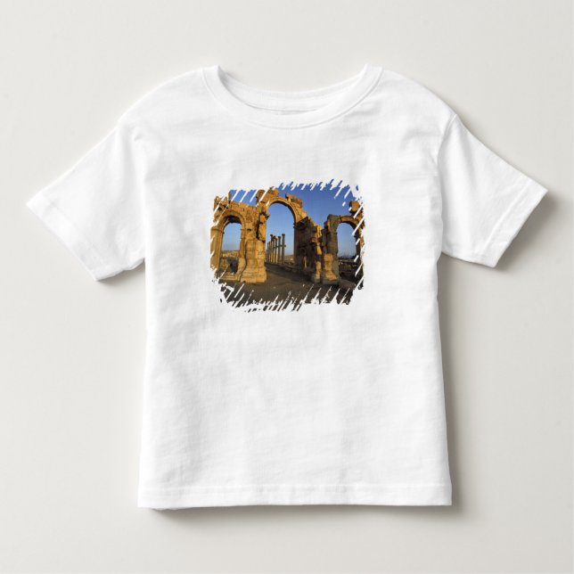 Monumental Arch, Palmyra, Homs, Syrien Tee Shirt (Framsida)