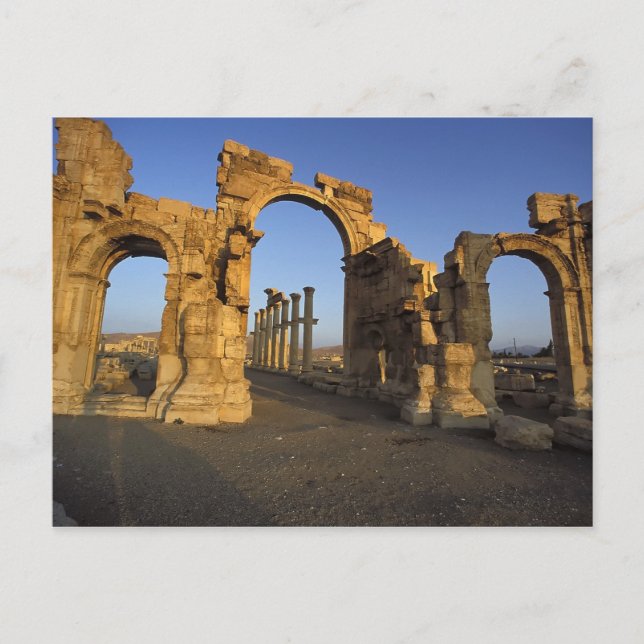 Monumental Arch, Palmyra, Homs, Syrien Vykort (Framsida)
