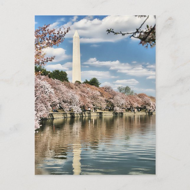 Monuments | Washington Memorial Vykort (Framsida)