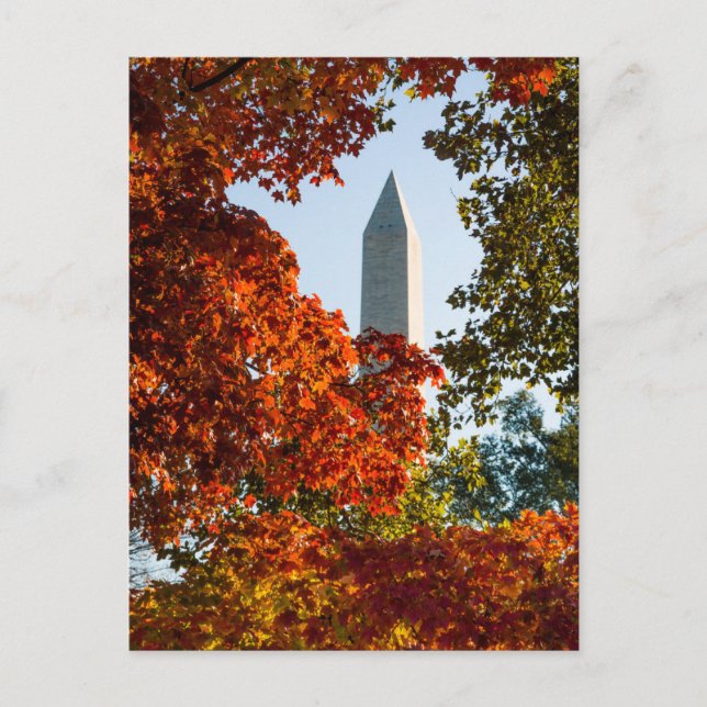 Monuments | Washington Monument in Autumn Vykort (Framsida)