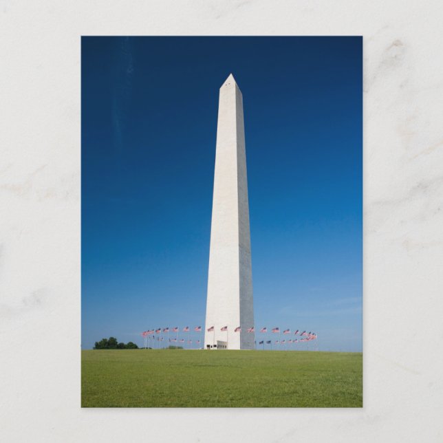 Monuments | Washington Monument with Flags Vykort (Framsida)