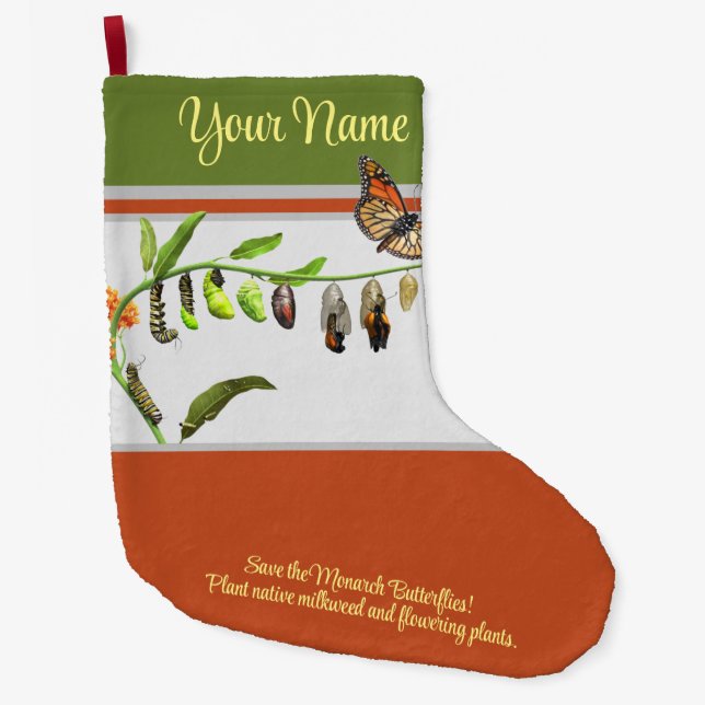 Monungens livscykel stor julstrumpa (Framsidan)