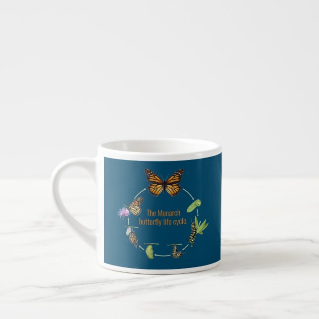Monungfjärilens livscykel espressomugg (Vänster)