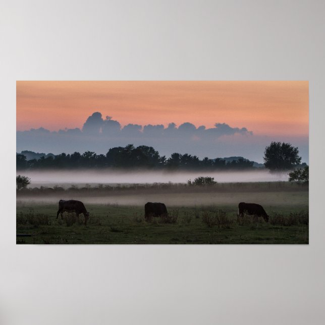Moo-chigan Sunset Poster (Framsidan)