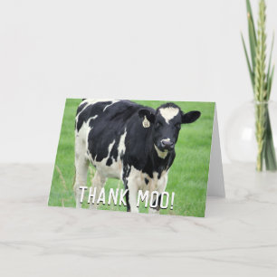 Moo Cow-tackkort Tack Kort