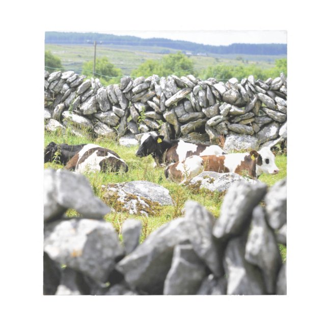 Moo Cows Anteckningsblock (Framsida)