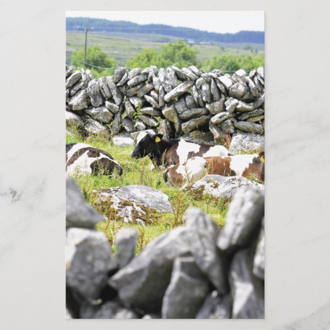 Moo Cows Brevpapper (Framsida)