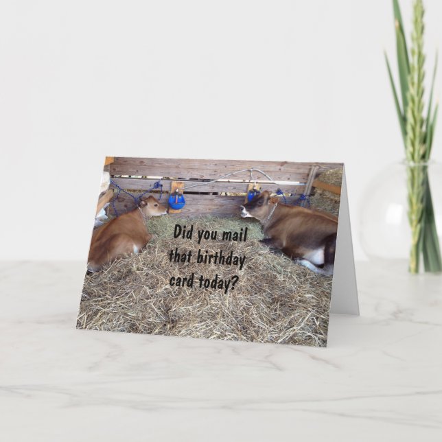 MOO COWS TALAR OM DIN BIRTHDAY WISH KORT (Framsida)