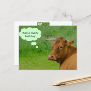 Moo! Cute ko önskemål en avslappnad födelsedag Pos Vykort