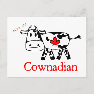 Moo, Eh-vykort Vykort