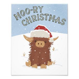 Moo-ry-julsöt shaggy Highland-ko Santa Fototryck