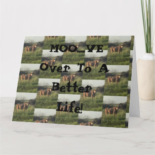Moo...Ta över! Kort