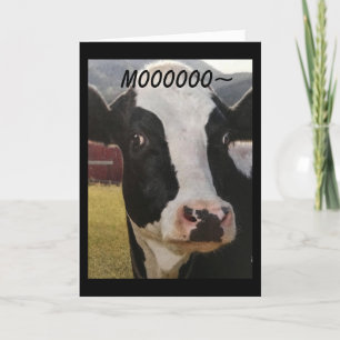 ***MOO*** U ÄR "60" HUR GICK DET? KORT
