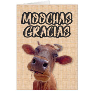 "Moochas Gracias" Kort tackkort
