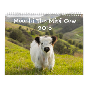 Moochi den mini- kalendern för ko 2018 kalender