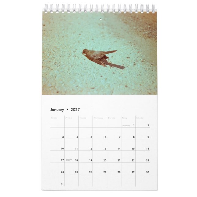 Mood: 2019 kalender (Jan 2027)