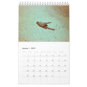 Mood: 2019 kalender