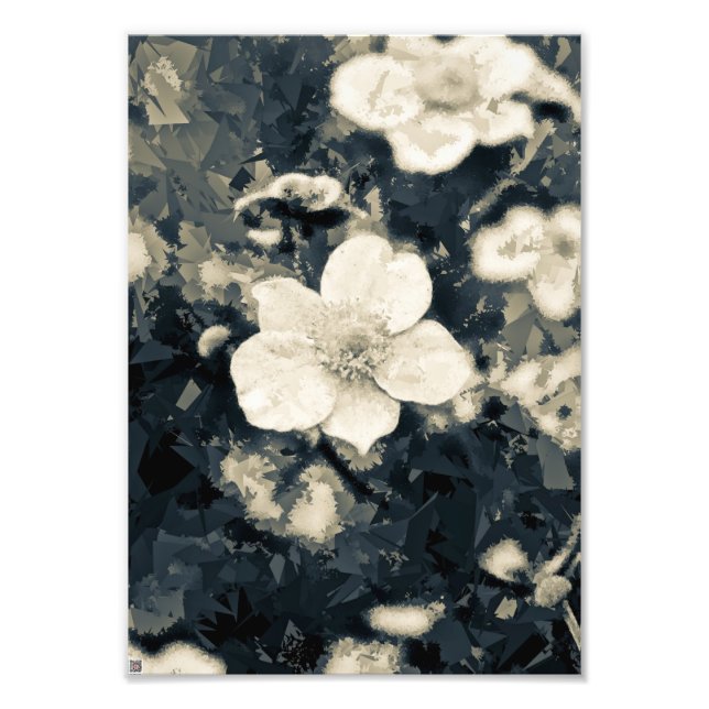 Moodfull Anemon Blomma Botanisk Konst Fototryck (Framsidan)