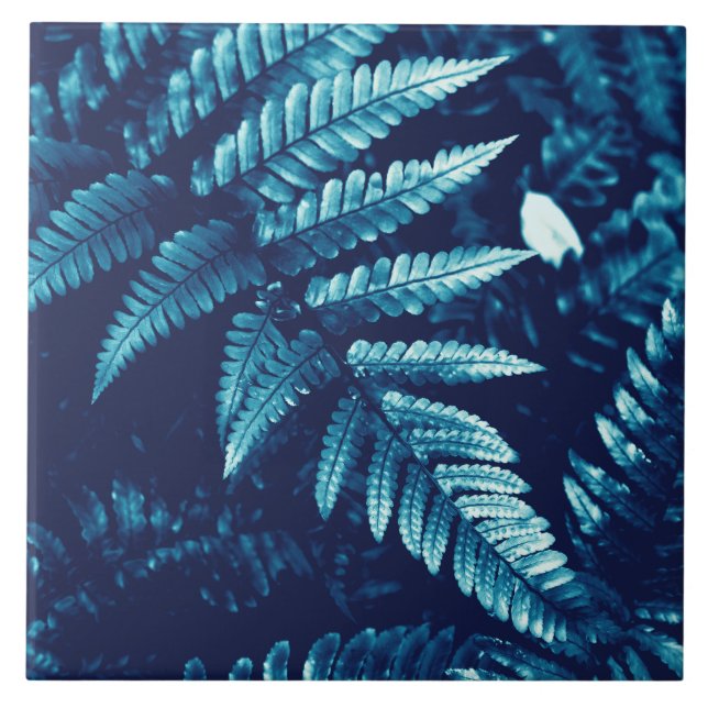 Moodfulla cyan och blå ormbunks cyanotyp inspirera kakelplatta (Framsidan)