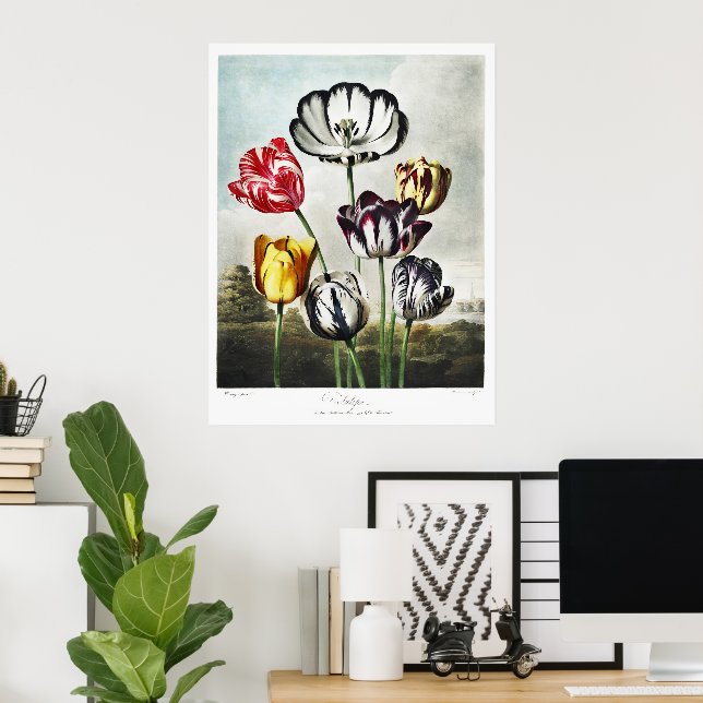 Moodfulla Regency-stil Flerfärgade Tulpaner Poster (Hemmakontoret)