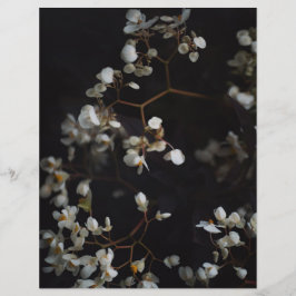 Moodfullt Mörkt Blommigt Elegant Scrapbookpapper