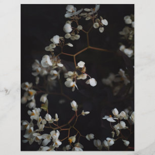 Moodfullt Mörkt Blommigt Elegant Scrapbookpapper