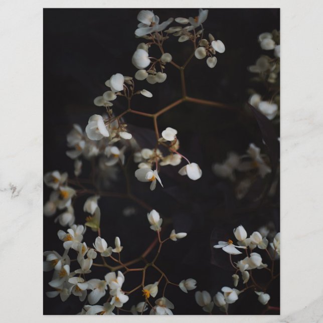 Moodfullt Mörkt Blommigt Elegant Scrapbookpapper (Framsida)