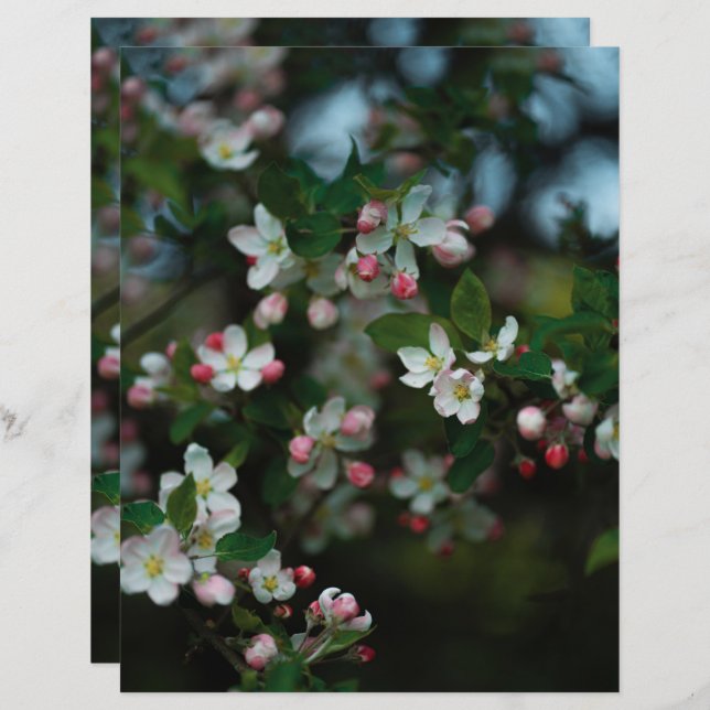Moody apple tree blooms Scrapbook Paper (Fram/baksida)