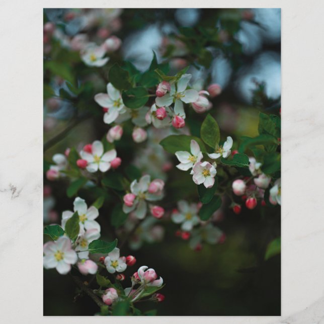 Moody apple tree blooms Scrapbook Paper (light) (Framsida)