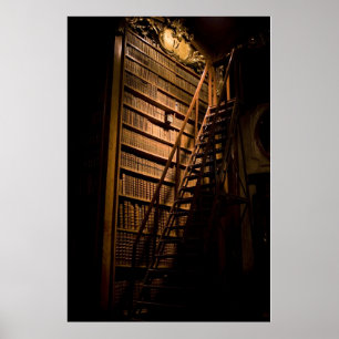 Moody Bokar speglat Poster