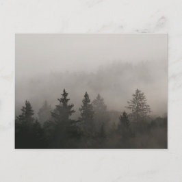 Moody Foggy Forest Vykort