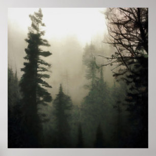 Moody Foggy Treescape liggande målning Poster