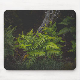 Moody green nature theme with ferns musmatta