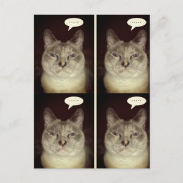 Moody katt vykort