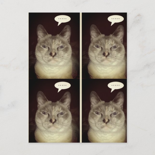 Moody katt vykort (Framsida)