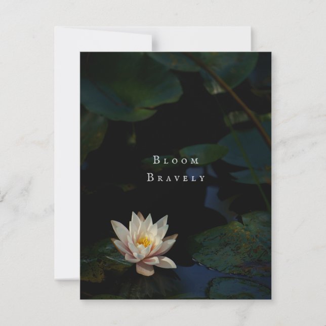 Moody Lily Pad Pond Nature Greeting Card (Framsida)