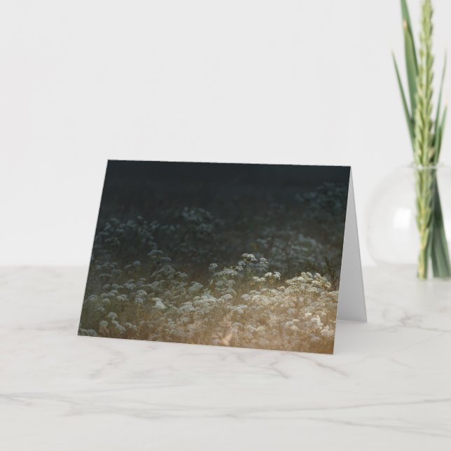 Moody meadow kort (Framsida)