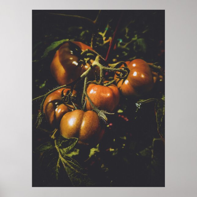 Moody Rustic Tomatoes Vintage Farmhouse Kitchen Poster (Framsidan)