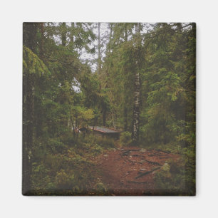 Moody svensk skog magnet