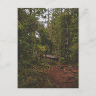 Moody svensk skog vykort