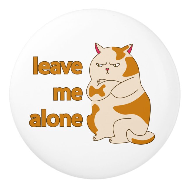 Moody tjock katt lämnar ensam för mig knopp (Framsidan)