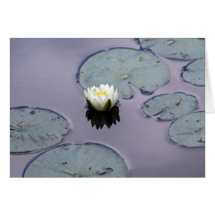 Moody Vatten Lily Hälsningskort